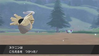 きあいのタスキ持ちヌケニンが こらえる を使うと道具は消費される ポケモン剣盾 じゃらの箱