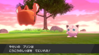 トリックで渡すと役に立つ道具 ポケモン剣盾 じゃらの箱